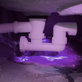 UV COLORE Viola