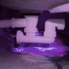 UV COLORE Viola