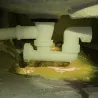 UV COLORE Giallo